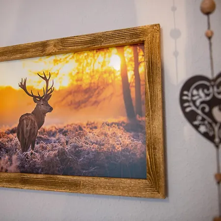 Apartamento Auszeit-im-harz Haus 1 Schnarcherklippe *