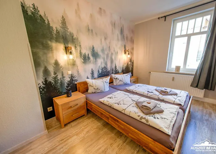 Auszeit-im-harz Haus 1 Schnarcherklippe *