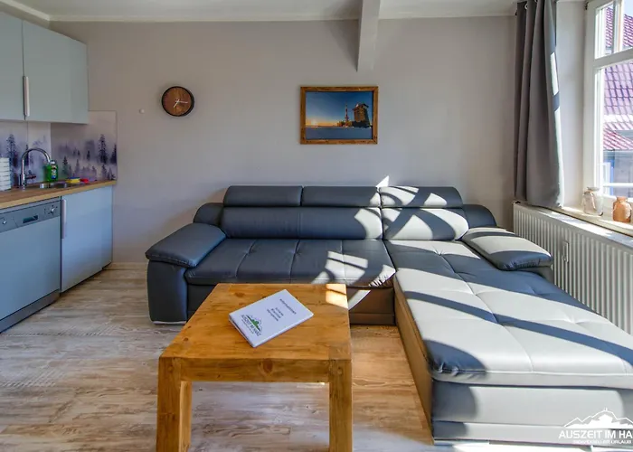 Auszeit-im-harz Haus 1 Schnarcherklippe Apartment *